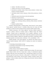Marketingo komplekso elementų analizė: turizmo agentūra UAB "Kauno piligrimas" 3 puslapis