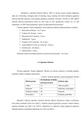 Marketingo komplekso elementų analizė: turizmo agentūra UAB "Kauno piligrimas" 4 puslapis