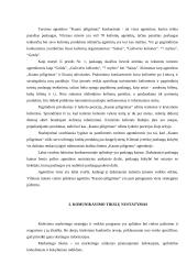 Marketingo komplekso elementų analizė: turizmo agentūra UAB "Kauno piligrimas" 5 puslapis