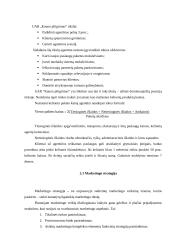 Marketingo komplekso elementų analizė: turizmo agentūra UAB "Kauno piligrimas" 6 puslapis