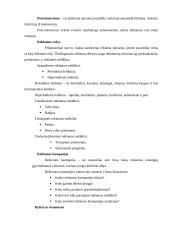 Marketingo komplekso programos elementai 12 puslapis