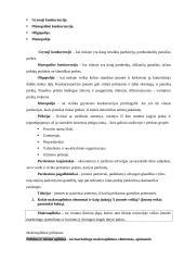 Marketingo komplekso programos elementai 3 puslapis