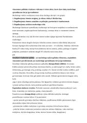 Marketingo komplekso programos elementai 4 puslapis