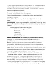 Marketingo komplekso programos elementai 5 puslapis