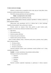 Marketingo komplekso programos elementai 8 puslapis