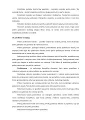 Marketingo komplekso programos elementai 9 puslapis