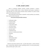 Marketingo komplekso tyrimas įmonėje UAB "Vesida" 3 puslapis