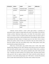 Marketingo komplekso tyrimas įmonėje UAB "Vesida" 4 puslapis