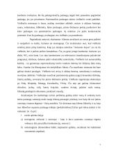 Marketingo komplekso vertinimas: viešbutis "Auksinės kopos" 7 puslapis