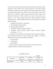 Marketingo komplekso vertinimas: viešbutis "Auksinės kopos" 9 puslapis