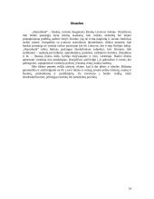 Marketingo planas: finansinės paslaugos "Hansabankas" 14 puslapis