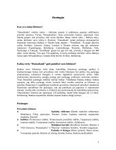 Marketingo planas: finansinės paslaugos "Hansabankas" 5 puslapis