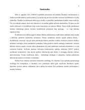 Marketingo planas: kryždirbystė Lietuvoje 2 puslapis