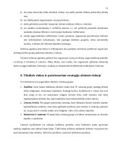 Marketingo planas: kryždirbystė Lietuvoje 12 puslapis