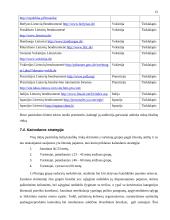 Marketingo planas: kryždirbystė Lietuvoje 15 puslapis