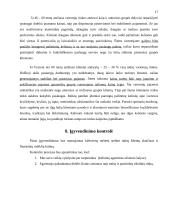 Marketingo planas: kryždirbystė Lietuvoje 17 puslapis