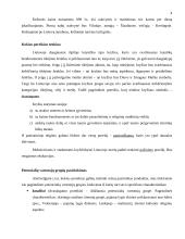 Marketingo planas: kryždirbystė Lietuvoje 4 puslapis