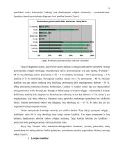 Marketingo planas: kryždirbystė Lietuvoje 6 puslapis
