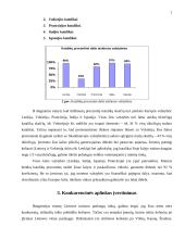 Marketingo planas: kryždirbystė Lietuvoje 7 puslapis