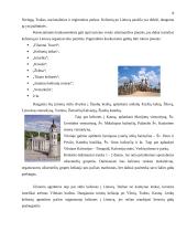 Marketingo planas: kryždirbystė Lietuvoje 8 puslapis