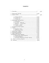 Marketingo planas: pramogų centras "5-Modulis" 2 puslapis