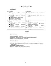 Marketingo planas: pramogų centras "5-Modulis" 5 puslapis