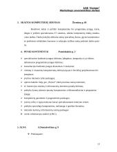 Marketingo planas: prekyba kompiuterine įranga UAB "Kompo" 11 puslapis