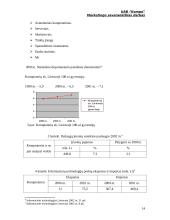 Marketingo planas: prekyba kompiuterine įranga UAB "Kompo" 12 puslapis