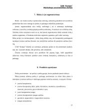Marketingo planas: prekyba kompiuterine įranga UAB "Kompo" 13 puslapis