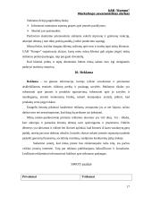 Marketingo planas: prekyba kompiuterine įranga UAB "Kompo" 15 puslapis