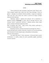Marketingo planas: prekyba kompiuterine įranga UAB "Kompo" 2 puslapis
