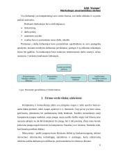 Marketingo planas: prekyba kompiuterine įranga UAB "Kompo" 4 puslapis