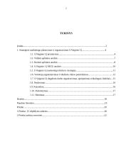 Marketingo planas: S.Vaiginio IĮ degalinė 2 puslapis