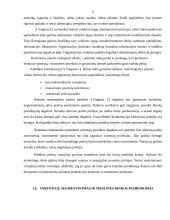 Marketingo planas: S.Vaiginio IĮ degalinė 11 puslapis