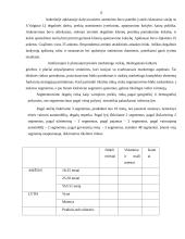 Marketingo planas: S.Vaiginio IĮ degalinė 12 puslapis