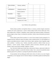 Marketingo planas: S.Vaiginio IĮ degalinė 13 puslapis