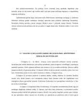 Marketingo planas: S.Vaiginio IĮ degalinė 14 puslapis