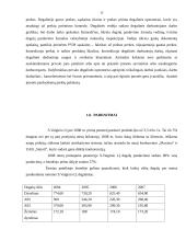 Marketingo planas: S.Vaiginio IĮ degalinė 15 puslapis