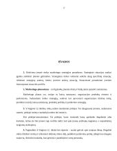 Marketingo planas: S.Vaiginio IĮ degalinė 17 puslapis