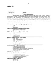 Marketingo planas: S.Vaiginio IĮ degalinė 20 puslapis