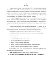 Marketingo planas: S.Vaiginio IĮ degalinė 3 puslapis