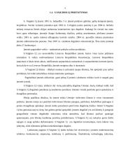 Marketingo planas: S.Vaiginio IĮ degalinė 4 puslapis