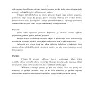 Marketingo planas: S.Vaiginio IĮ degalinė 5 puslapis