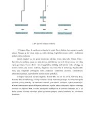 Marketingo planas: S.Vaiginio IĮ degalinė 6 puslapis