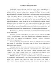 Marketingo planas: S.Vaiginio IĮ degalinė 7 puslapis