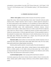 Marketingo planas: S.Vaiginio IĮ degalinė 8 puslapis