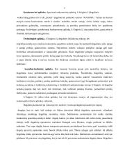 Marketingo planas: S.Vaiginio IĮ degalinė 9 puslapis