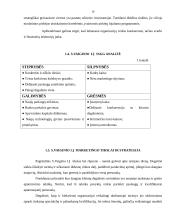 Marketingo planas: S.Vaiginio IĮ degalinė 10 puslapis