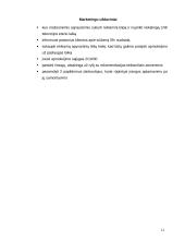 Marketingo planas: santechnikos darbai UAB "Sanda" 11 puslapis