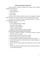 Marketingo planas: santechnikos darbai UAB "Sanda" 13 puslapis